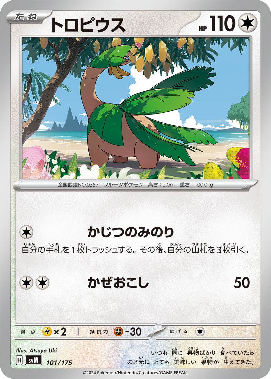 046555_P_TOROPIUSU.jpg?v=