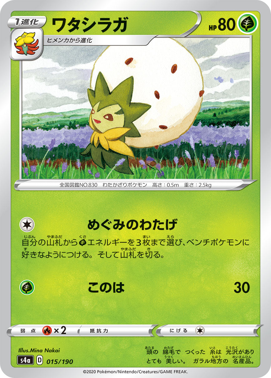 038660_P_WATASHIRAGA.jpg?v=