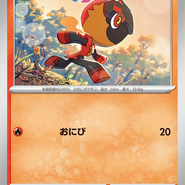 046188_P_KARUBOU_600x600_crop_