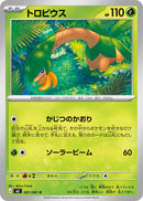 C トロピウス   001/081［M5］
