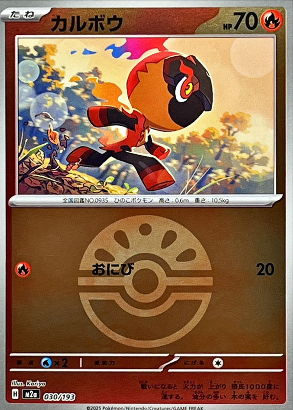 -ボールミラー カルボウ   030-ballmirror/193［M2a］