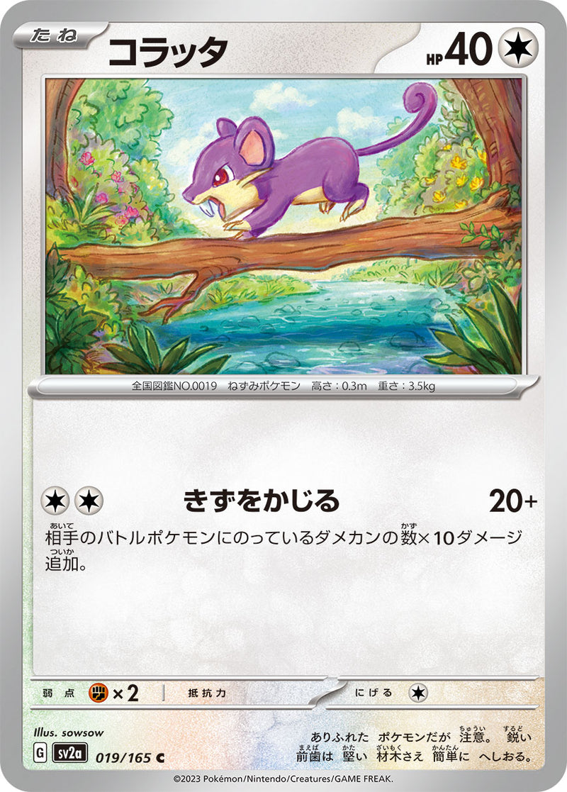 ポケモンカードゲーム拡張パック通販 C コラッタ   019/165［SV2a］