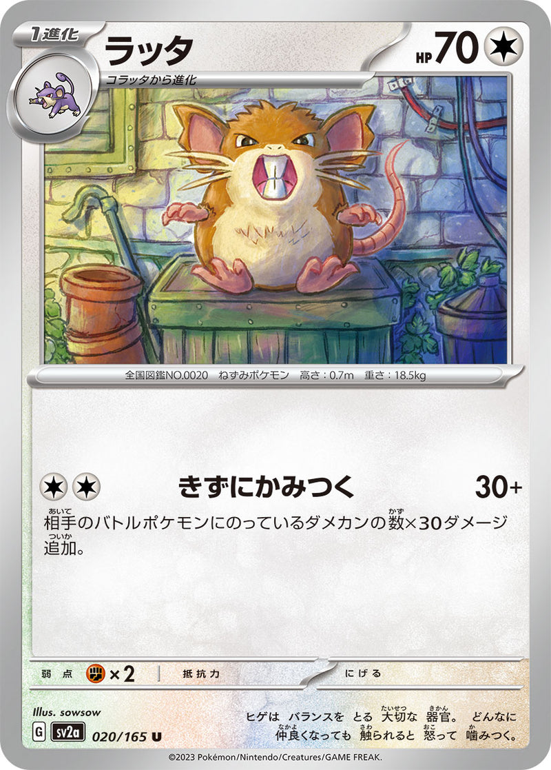 ポケモンカードゲーム拡張パック通販 U ラッタ   020/165［SV2a］