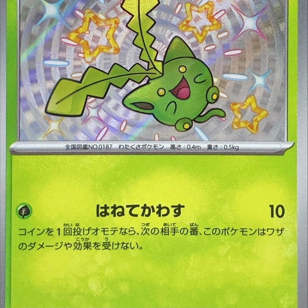ポケモンカードダス ずかんファイル（非売品）とカード付き 伸びよ