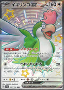 SSR イキリンコex   337/190［SV4a］
