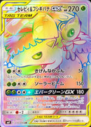 HR セレビィ＆フシギバナGX   110/095［sm9］